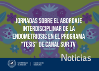 Jornadas sobre el abordaje interdisciplinar de la endometriosis en Canal Sur