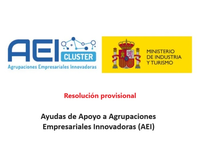 Resolución provisional de Ayudas a Agrupaciones Empresariales Innovadoras 2024 (AEI2024)