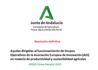Resolución definitiva de las ayudas GGOO línea General 2022