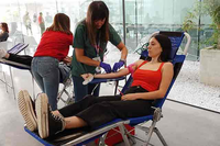 Nueva campaña de donación de sangre y médula en centros de la UMA