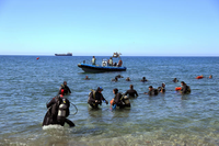 La UMA celebra la III Jornada de Limpieza de Fondos Marinos en la playa de Las Acacias