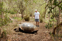 Física cuántica para predecir la distribución geográfica de las especies 