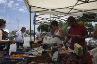 Teatinos reúne a productores ecológicos en la celebración del primer ecomercado 