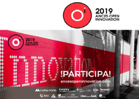 Open Innovation ANCES 2019