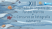 XIII Jornada De Limpieza De Fondos Marinos Y Concurso De Fotografía Submarina