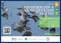 Taller de Aproximación a la observación de aves