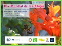 Exposición "Las abejas y otros polinizadores"