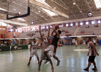 El baloncesto profesional 'toma' el campus de Teatinos