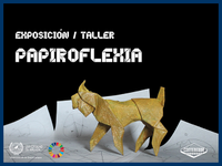 Exposición y taller de papiroflexia “Fauna de España En Peligro” [ODS]