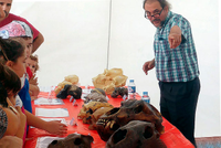 El profesor Pérez Claros de la Universidad de Málaga en una exhibición de divulgación científica