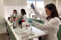 Los investigadores en el Laboratorio de la Facultad de Medicina