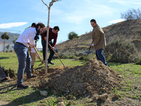 Plantación Métrica6