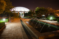 Una imagen del Jardín Botánico de la UMA