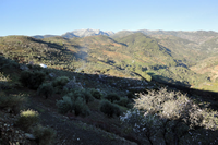 Imagen de la Sierra de las nieves