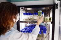 Una investigadora trabajando en un laboratorio de la UMA