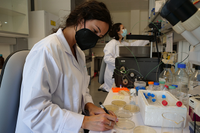 Una investigadora de la UMA trabajando en un laboratorio del IHSM