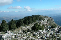 Panorámica del pinsapar