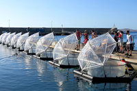 Experimento de mesocosmos en el muelle de Taliarte, Gran Canaria